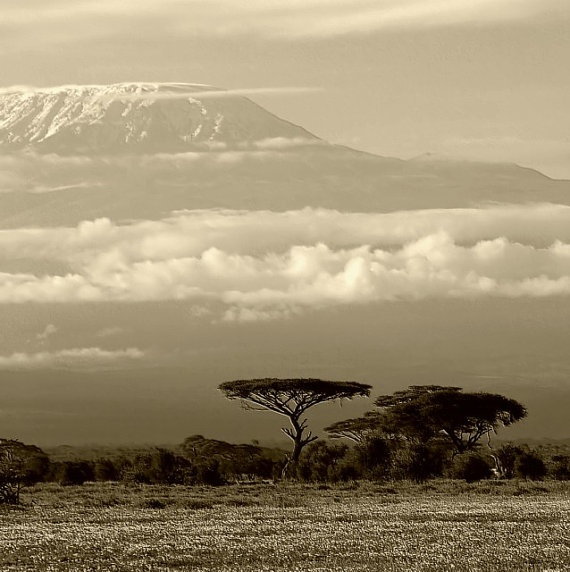 kilimanjaro-landscape